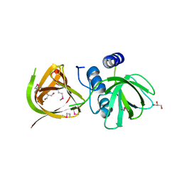 BU of 5udm by Molmil