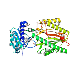 BU of 5umt by Molmil