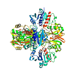 BU of 5vmt by Molmil