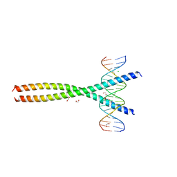 BU of 5vpf by Molmil