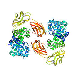 BU of 5xrc by Molmil