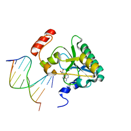 BU of 6cvr by Molmil