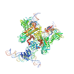 BU of 6dbl by Molmil