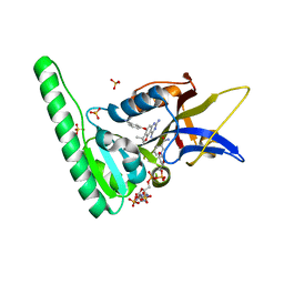 BU of 6drs by Molmil