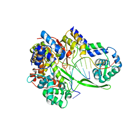 BU of 6dt8 by Molmil