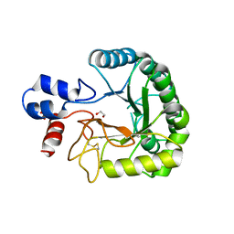 BU of 6fao by Molmil