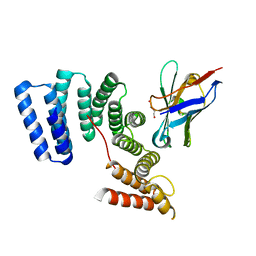 BU of 6fv0 by Molmil