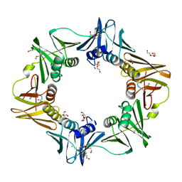 BU of 6fvm by Molmil