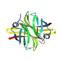 BU of 6hds by Molmil