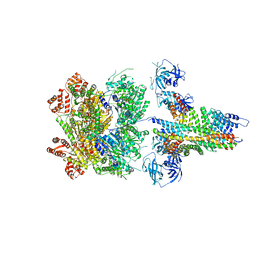 BU of 6mdn by Molmil