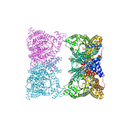 BU of 6mgi by Molmil