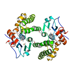 BU of 6mhc by Molmil