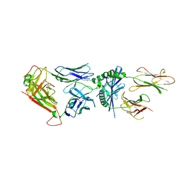 BU of 6mno by Molmil