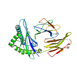 BU of 6mt5 by Molmil