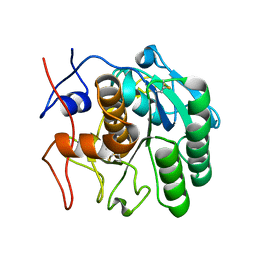 BU of 6pkp by Molmil