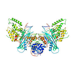 BU of 6pqr by Molmil