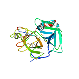 BU of 6q1u by Molmil