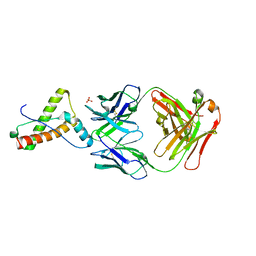 BU of 6sv2 by Molmil