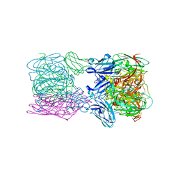 BU of 6tfd by Molmil