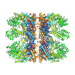 BU of 6tmx by Molmil