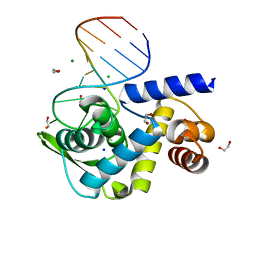 BU of 6tqb by Molmil