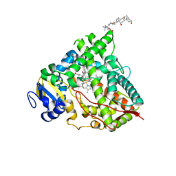 BU of 6udm by Molmil