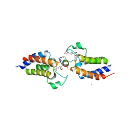 BU of 6ulv by Molmil