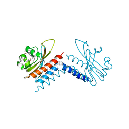 BU of 6uv8 by Molmil