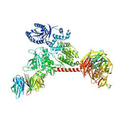 BU of 6vp6 by Molmil