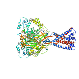 BU of 6vtl by Molmil