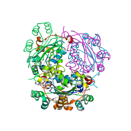 BU of 6xpu by Molmil