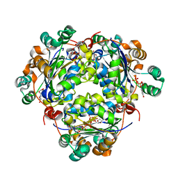 BU of 6xpv by Molmil