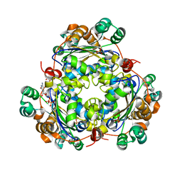 BU of 6xpw by Molmil