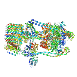 BU of 7fdb by Molmil