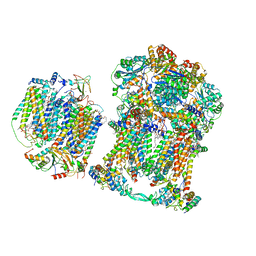 BU of 7jrp by Molmil