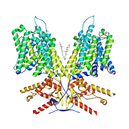 BU of 7lh2 by Molmil