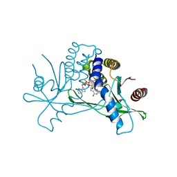 BU of 7mhc by Molmil