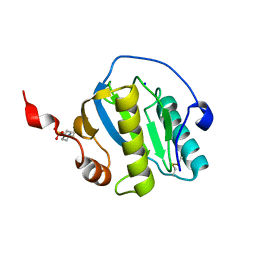 BU of 7nsz by Molmil