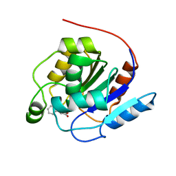 BU of 7oex by Molmil