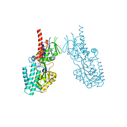 BU of 7oxl by Molmil