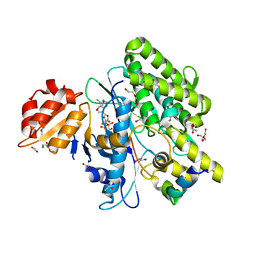 BU of 7oxy by Molmil