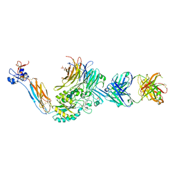 BU of 7ufh by Molmil