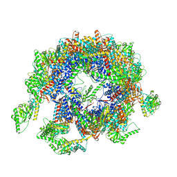 BU of 7ylu by Molmil