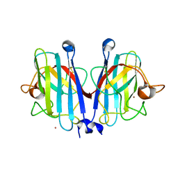 BU of 7ypr by Molmil