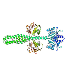 BU of 8a6x by Molmil