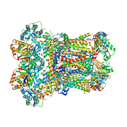 BU of 8ac5 by Molmil