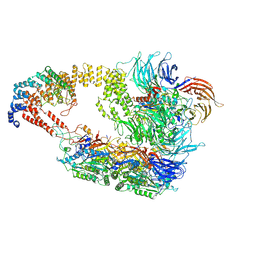 BU of 8asv by Molmil