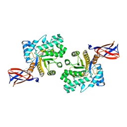 BU of 8b73 by Molmil