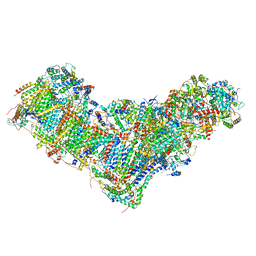 BU of 8ba0 by Molmil