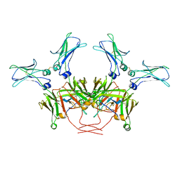 BU of 8bpg by Molmil